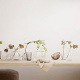 Tine K Home FACET kirkas tuikku